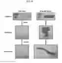 Fig. 49 - Composite film, device including, and method of forming the same
