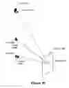Fig. 07 - Enhanced spatial resolution using a segmented electrode array