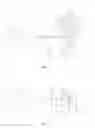 Fig. 06 - Light source device and projection apparatus having light-combination device located at focus position of lenses