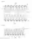 Fig. 14 - Sealing material comprising cut pile woven fabric