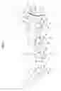 Fig. 02 - IMAGE FORMING APPARATUS