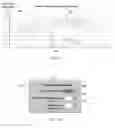 Fig. 05 - Method and apparatus for suppression of spikes detected by a proximity sensor