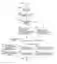 Fig. 01 - INFORMATION PROCESSING APPARATUS AND NON-TRANSITORY COMPUTER READABLE MEDIUM