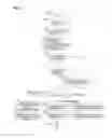 Fig. 08 - INFORMATION PROCESSING APPARATUS AND NON-TRANSITORY COMPUTER READABLE MEDIUM