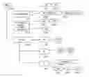Fig. 01 - Optimization for rendering web pages