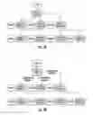 Fig. 06 - ONLINE PLATFORM FOR CREATING CONNECTIONS BETWEEN TWO USERS AS A FUNCTION OF OPINIONS ON ISSUES.