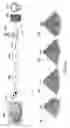 Fig. 15 - Operations using sparse volumetric data