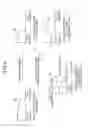 Fig. 07 - DISPLAY APPARATUS AND METHOD OF CONTROLLING THE SAME