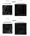 Fig. 07 - Validation methods for multiplexed imaging method