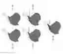 Fig. 09 - Systems and methods for airway tree segmentation