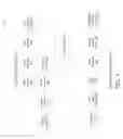 Fig. 02 - Deep learning for tooth detection and evaluation
