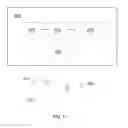 Fig. 09 - Image processing apparatuses and methods