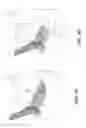 Fig. 09 - Bone segmentation and display for 3D extremity imaging