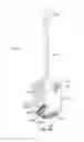 Fig. 12 - Motion-based lighting system with intelligent alerts