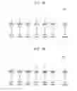 Fig. 09 - DISPLAY APPARATUS AND METHOD OF DRIVING DISPLAY PANEL USING THE SAME