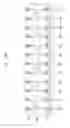 Fig. 13 - DISPLAY APPARATUS AND METHOD OF DRIVING DISPLAY PANEL USING THE SAME