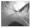 Fig. 01 - Device, method, and program for controlling displaying of survey image
