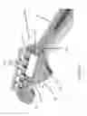 Fig. 03 - Tuner