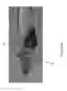 Fig. 07 - Tuner