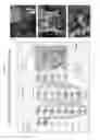 Fig. 02 - Hilbert-cnn: ai-driven convolutional neural networks with conversion data of genome for biomarker discovery