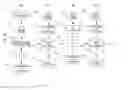 Fig. 01 - Results dependent analysis—iterative analysis of SWATH data