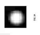 Fig. 06 - Medical imaging device- and display-invariant segmentation and measurement