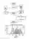 Fig. 13 - Cloud-based interactive digital medical imaging and patient health information exchange platform