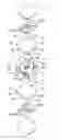 Fig. 01 - Coil component and method for manufacturing the same