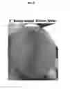 Fig. 03 - Polarizable Sol-Gel Materials, Methods of Preparation and Processing for High Energy and Power storage Devices