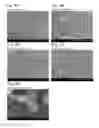 Fig. 04 - Viologen compound, method for producing the same, negative electrode active material, and electricity storage device
