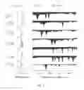 Fig. 02 - High-throughput cryogenic spectroscopy for glycan analysis