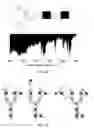 Fig. 12 - High-throughput cryogenic spectroscopy for glycan analysis