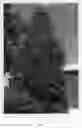 Fig. 03 - TILIA TREE NAMED `KROMM'
