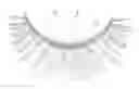 Fig. 01 - Self-adhesive false eyelash