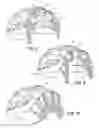 Fig. 06 - BICYCLE HELMET WITH VENTILATION PLATE