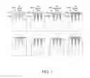 Fig. 02 - MICRO-NEEDLE PATCH, METHOD FOR MANUFACTURING THE MICRO-NEEDLE PATCH, AND METHOD FOR DIAGNOSING ALLERGY DISEASE USING THE MICRO-NEEDLE PATCH