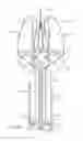 Fig. 44 - Prosthetic heart valves and apparatus and methods for delivery of same