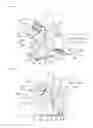 Fig. 02 - Assistance device