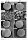 Fig. 01 - ACTIVE SELF-HEALING BIOMATERIAL SYSTEM