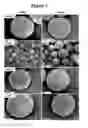 Fig. 08 - ACTIVE SELF-HEALING BIOMATERIAL SYSTEM