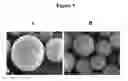 Fig. 10 - ACTIVE SELF-HEALING BIOMATERIAL SYSTEM