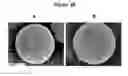 Fig. 11 - ACTIVE SELF-HEALING BIOMATERIAL SYSTEM