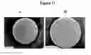 Fig. 12 - ACTIVE SELF-HEALING BIOMATERIAL SYSTEM