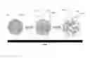 Fig. 01 - Therapeutic Agent Release System