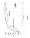 Fig. 09 - Therapeutic Agent Release System