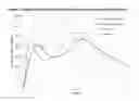 Fig. 04 - Methods and compositions particularly for treatment of attention deficit disorder
