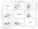 Fig. 01 - METHOD OF PREVENTING ACUTE ATTACKS OF HEREDITARY ANGIOEDEMA ASSOCIATED WITH C1 ESTERASE INHIBITOR DEFICIENCY