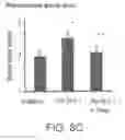 Fig. 13 - PROGRAMMING OF CELLS FOR TOLEROGENIC THERAPIES