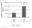 Fig. 24 - PROGRAMMING OF CELLS FOR TOLEROGENIC THERAPIES