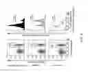 Fig. 04 - Regulatory T cell epitopes, compositions and uses thereof